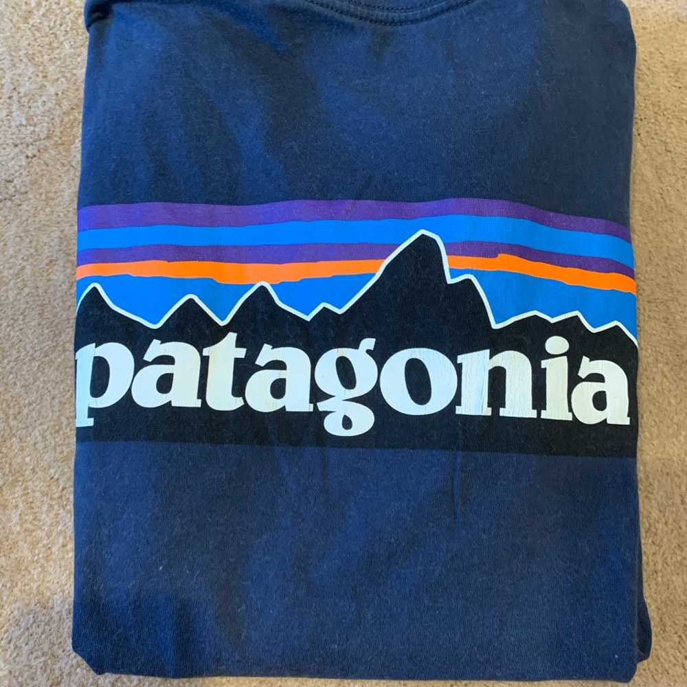Classic navy Patagonia t shirt